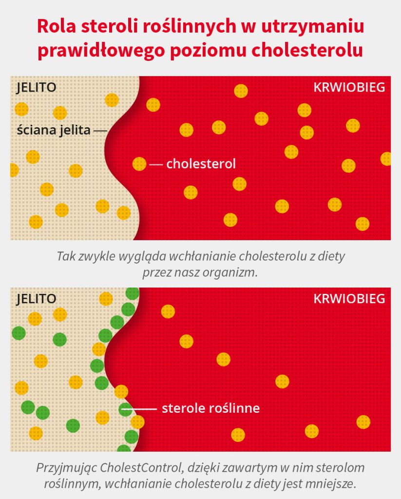 Grafika ilustruje rolę steroli roślinnych w redukcji wchłaniania cholesterolu w organizmie, porównując dwa procesy: standardowe i z zastosowaniem suplementu CholestControl.