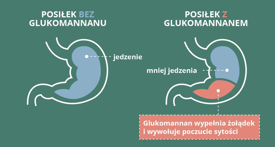 Obraz ilustruje różnicę w odczuciu sytości po posiłkach z glukomannanem i bez niego, podkreślając, jak glukomannan wypełnia żołądek, prowadząc do mniejszego spożycia kalorii.