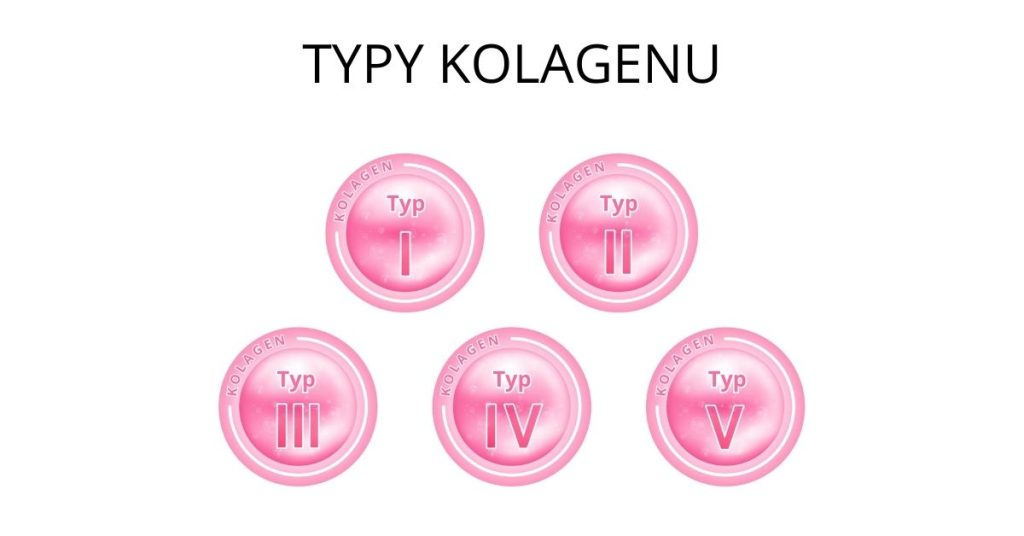 Grafika przedstawiająca pięć głównych typów kolagenu, w tym kolagen typu I, II, III, IV i V, używanego w medycynie estetycznej i pielęgnacji skóry.