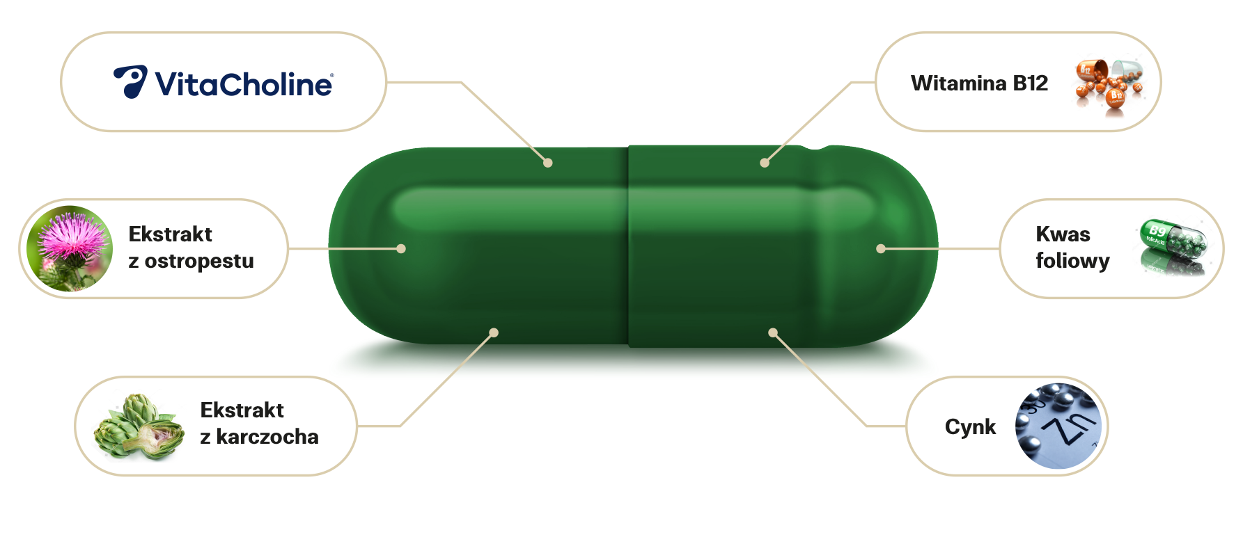 Obraz przedstawia kapsułkę suplementu diety VitaCholine, wzbogaconą o składniki wspierające zdrowie. Zawiera ekstrakt z ostropestu, witaminę B12, kwas foliowy, ekstrakt z karczocha i cynk. Suplementacja tymi składnikami może wspierać funkcje wątroby, układ nerwowy oraz procesy metaboliczne.