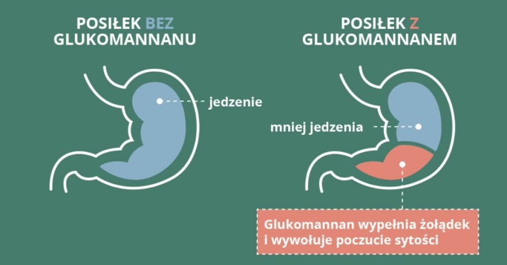 Infografika porównująca posiłki z glukomannanem i bez, ilustrująca, jak glukomannan wpływa na uczucie sytości i objętość żołądka.