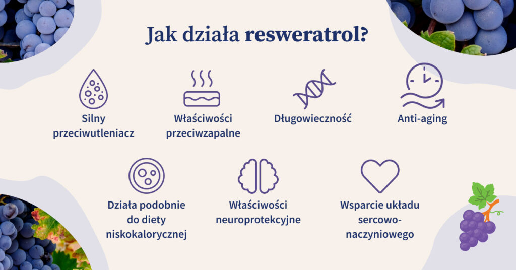 Resweratrol to silny przeciwutleniacz, ma właściwości przeciwzapalne i neuroprotekcyjne