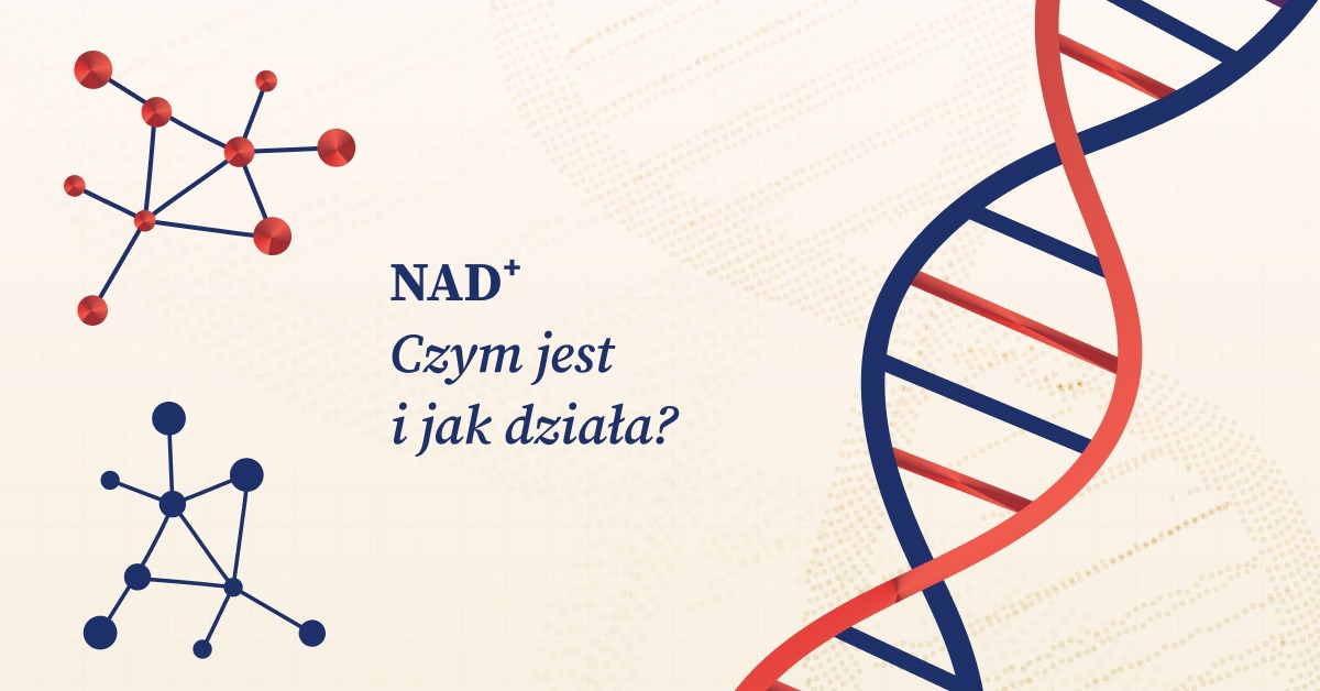 Co to jest NAD⁺? Funkcje, działanie i wpływ na organizm